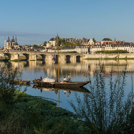 Le Wilson - Vue Imprenable Sur La Loire Et Le Chateau De Blois Kültér fotó