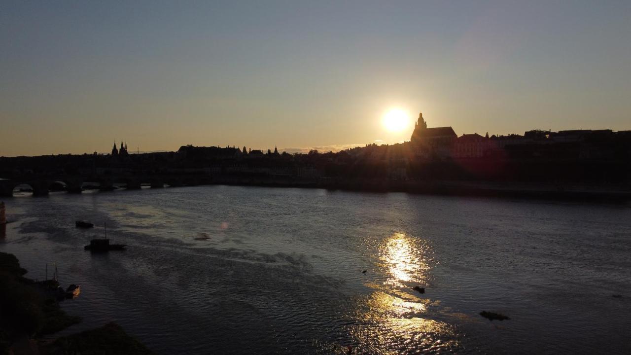 Le Wilson - Vue Imprenable Sur La Loire Et Le Chateau De Blois Kültér fotó