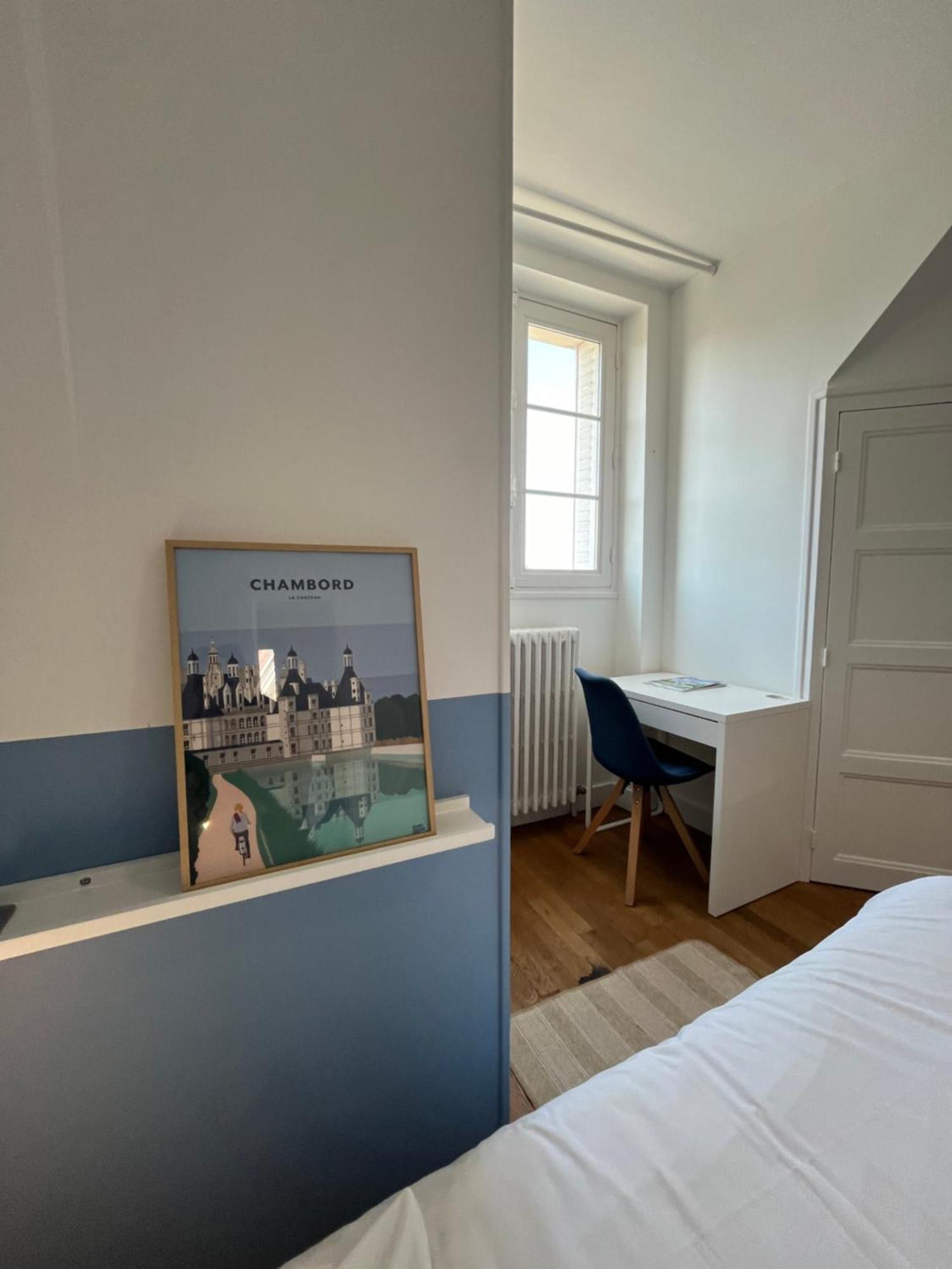 Le Wilson - Vue Imprenable Sur La Loire Et Le Chateau De Blois Kültér fotó