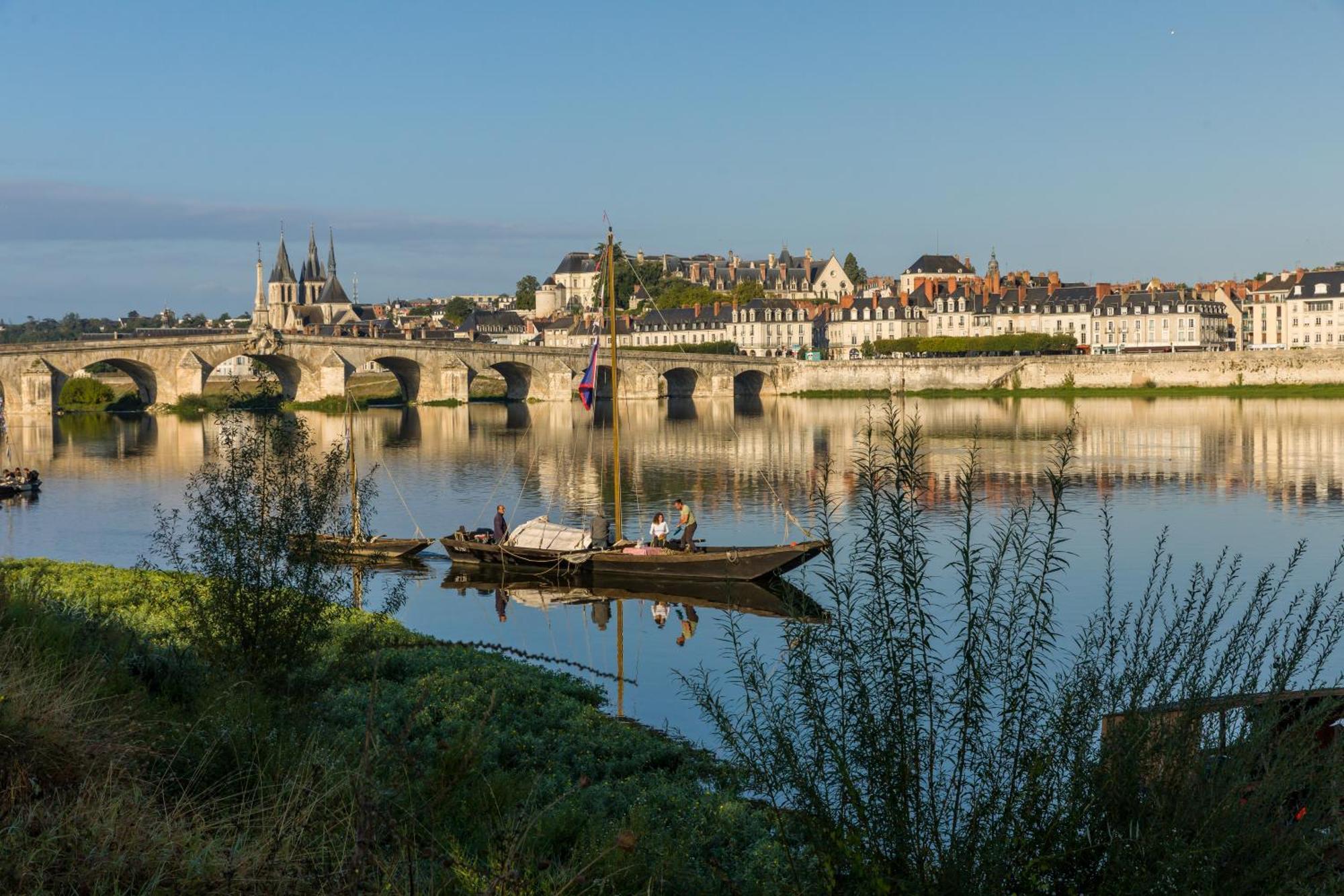 Le Wilson - Vue Imprenable Sur La Loire Et Le Chateau De Blois Kültér fotó